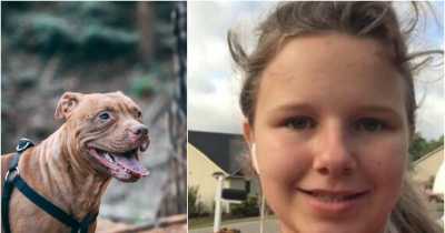 Girl, 15, On Ventilator After Being Brutally Attacked By 2 Pit Bulls Who Ripped Her Scalp Off