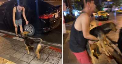 Thai Man Got Drunk And Ended Up Bringing Random Stray Dog At Home, Both Are Nows Friends Forever