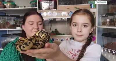 8-Year Old Girl Dubbed 'Next David Attenborough,' Shares Bedroom With 50 Tarantulas And Many Other Crawling Creatures