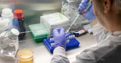 First Covid-19 Vaccine Could Be Available Before The End Of The Year