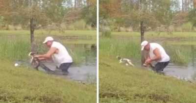 Florida Man Pulls Alligator Out Of Water And Pries Its Jaws Open To Save His Pet Dog