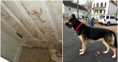 Family Shocked After Returning To A Bloodstained House