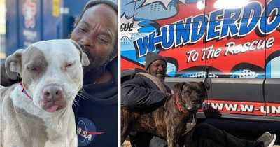 Homeless Man Rescues 16 Animals in Atlanta Shelter After Fire Broke Out