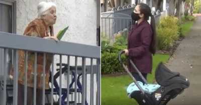 WW2 Immigrant, 95, Warned With Eviction For Chatting Once A Fortnight From The Balcony To The Granddaughter