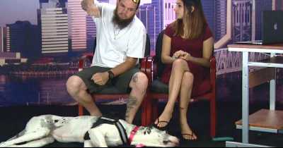 Deaf Couple Enraged After One Passenger Punched Pregnant Fianc&eacute;e And Service Dog Who Apparently Took Too Much Space