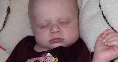 4-Month Old Tragically Passes Away After Family Dog Found Resting On Top Of Her