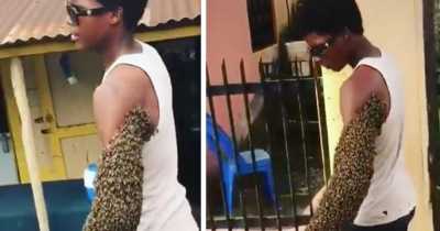 Unreal Video Shows A Man Holding The Queen Bee In His Fist While The Rest Of The Swarm Just Following Along