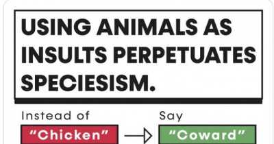 PETA Asks People To Use Alternatives To Animal-Oriented Insults But Gets Ridiculed In Return