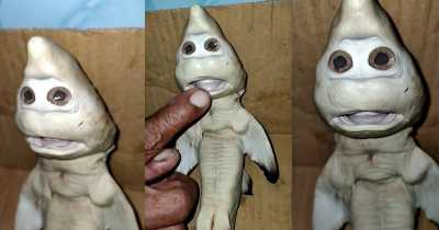 This Mutant Fish With A Human Face Will Follow You In Your Nightmares