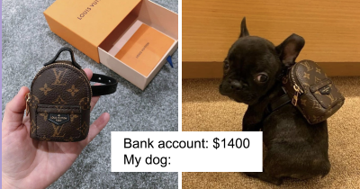 30 Of The Epic And Most Sarcastic Responses Twitter Has In Response To How People Are Gonna Spend All That Stimulus Check Money