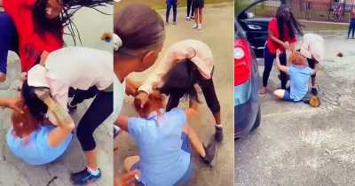 Two Women Savagely Attacked USPS Postal Worker Over Stimulus Checks