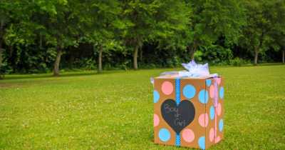 Gender Reveal Party Using 80 Pounds Of Explosives Triggers 'Earth-Shaking' Tremors For Miles