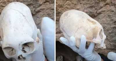 A Viral Post About Ancient Peruvian Skulls Has Claimed They're Evidence Of Aliens Visiting Earth
