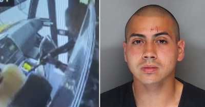 School Bus Hijacker Tired of Answering Annoying Questions of Kindergartners Gives Up: &lsquo;Enough Is Enough&rsquo;