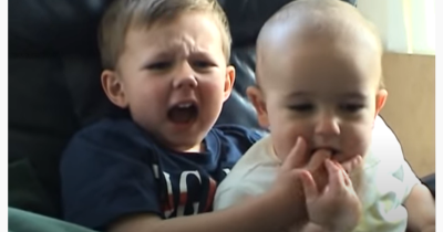 &lsquo;Charlie Bit My Finger&rsquo; Video Sells For $760k and Is Set To Be Deleted From YouTube