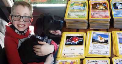 Pok&eacute;mon Sends Rare Cards To Boy Who Sold His Prized Cards To Save His Sick Dog's Life