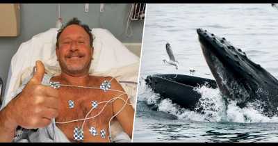 Man Who Survived Plane Crash And Was Swallowed Whole By A Whale Did A Reddit Ama And These Are The Best Answers