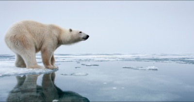 BBC For Kids Face Heavy Criticism After Listing The 'Positive' Impacts Of Climate Change