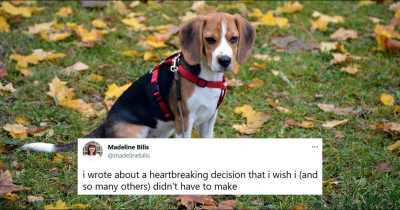 Writer Sparks Outrage After She Reveals She Put Down Her &lsquo;pandemic dog&rsquo;