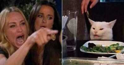 Woman From Yelling Cat Meme Gives Him A Call To Finally Let Go of The Grievances