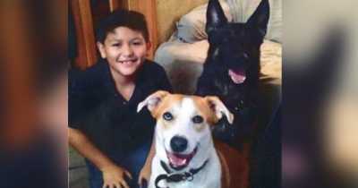 Heartbreaking: 12-year Old Boy Abused By His Parents, Shocked With Dog Collar And Starved Until He Ate His Own Hair