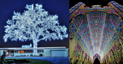 Super Interesting Pictures To Make You Go, 'huh'.