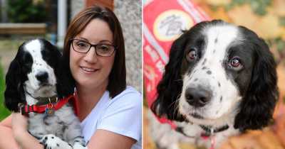 I Thought My Dog Was Annoying &ndash; But He Was Trying To Save My Life