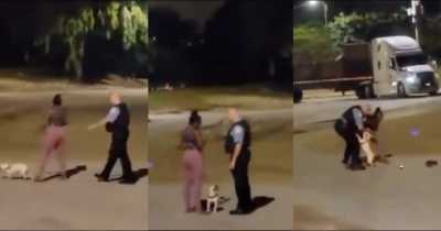 Allegedly Racist Police Officer Violently Grabs Black Woman Walking Her Dog