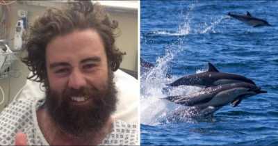 Man, 24, Reveals How Dolphins Guarded Him On Massive Swim During The Time He Was Lost At Sea