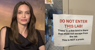 These People Are Having A Hilariously Terrible Day And You Will Go To Hell For Laughing At Them