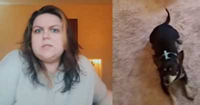 Woman Left Amused After Realizing Newly-Adopted Dog Only Understands Spanish