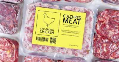 California Opens World&rsquo;s Most Advanced Lab-Grown Meat Facility