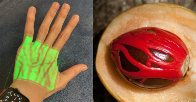 Super Weird Pictures You'd Want To Know More About