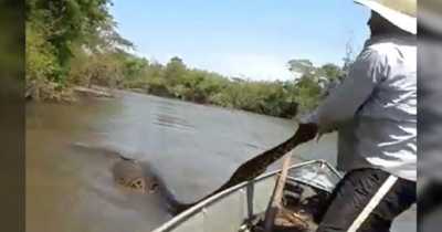 Terrifying Footage Shows Fisherman Battling A Giant Anaconda