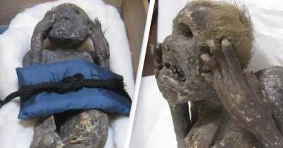 Ancient Mummified &lsquo;Mermaid&rsquo; Rumoured To Grant Immortality To Anyone Who Eats It Being Investigated