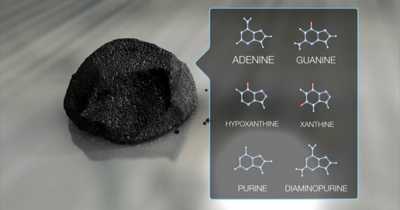 Study Suggests Meteorites Could Have All 5 Bases Of DNA And RNA