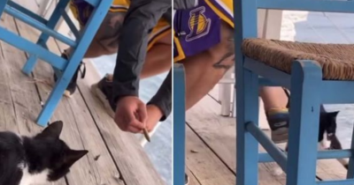 Greek Man Facing Jail Time And A Hefty Fine For Kicking Kitten Into The Sea