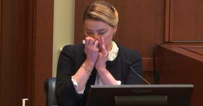 Amber Heard's Pose, Cocaine & Mr. Ripley's Dialogue Moments: The Bizarre Rumors Caught During Trial
