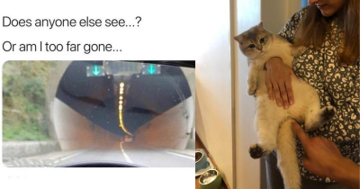 22 Pictures Perfectly Timed That Will Make You Look Again