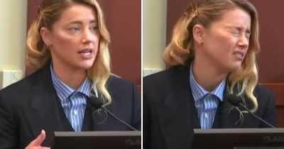 Amber Heard&rsquo;s &lsquo;My Dog Stepped On A Bee&rsquo; Testimony Mocked On Tiktok