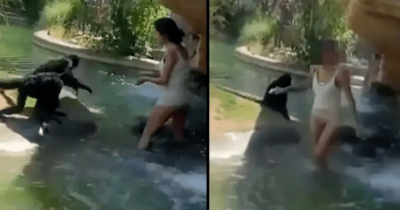 Woman Who Fed Cheetos To Spider Monkeys At Zoo Says She Didn't Do Anything Wrong