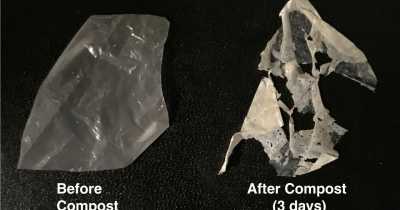 Amazing: Artificial Engineered Enzyme Can Break Down Plastic Waste In Hours Instead Of Decades