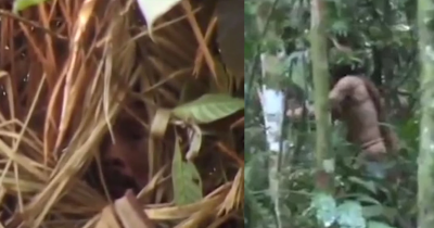 Rare Footage: Last Survivor of Reclusive Amazonian Tribe Caught On Camera