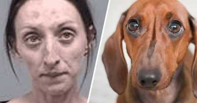 Woman Breaks Into Stranger's House, Pats The Dog, Washes Dishes, And Leaves