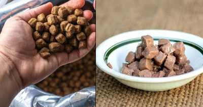 Uni Student Eats Dog Food Because He Can't Afford Human Food