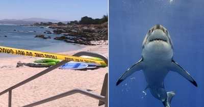 Terrified Surfer Screams &lsquo;Help Me&rsquo; As Great White Shark Rips Off His Body In A Horrifying Attack