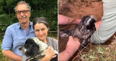 Couple Who Lost Their Dog Find Him Trapped In The Rabbit Hole In The Garden