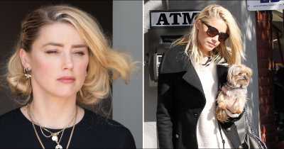 Amber Heard's Australian Smuggling Case May Receive FBI Attention