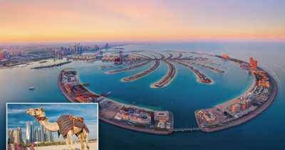Dubai Porta Potty: Influencers Are Being Pooped On For Cash