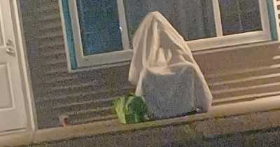 Drunken Man Hilariously Fails To Evade Cops By Hiding Under Blanket